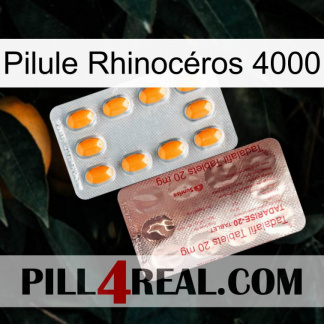 Pilule Rhinocéros 4000 new13